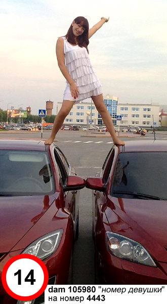 DRIVE LADY 2010&nbsp;���������